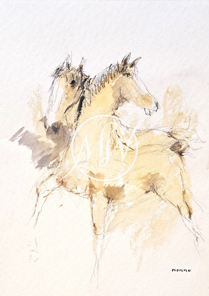 Caballo V
