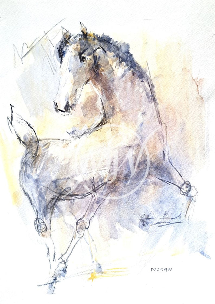 Caballo VI