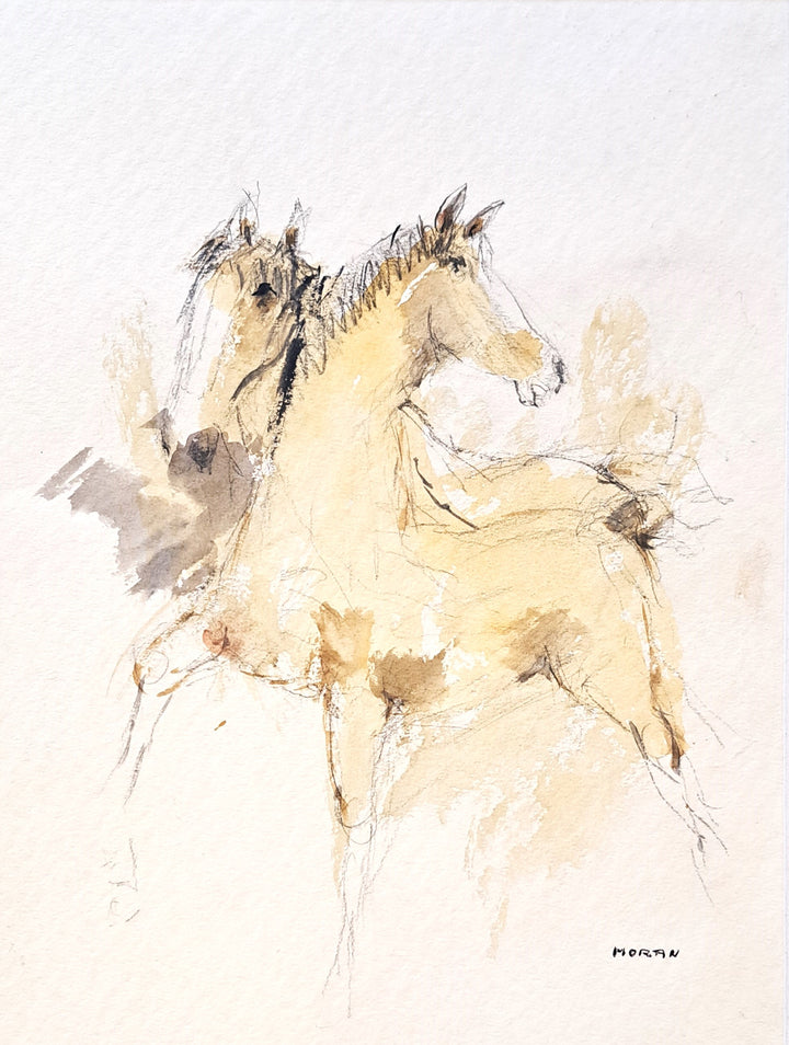 Caballo V