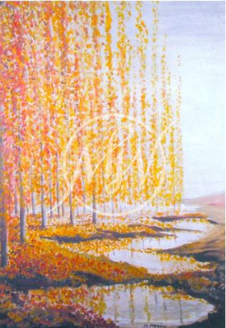 La Campiña I